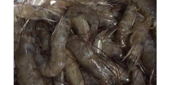 微信截圖_20230209101534