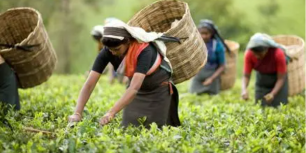 微信截圖_20230209095227