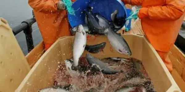 微信截圖_20230209101310