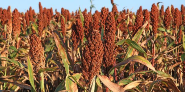 微信截圖_20220729154024