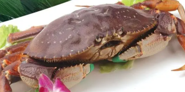 微信截圖_20230407083912