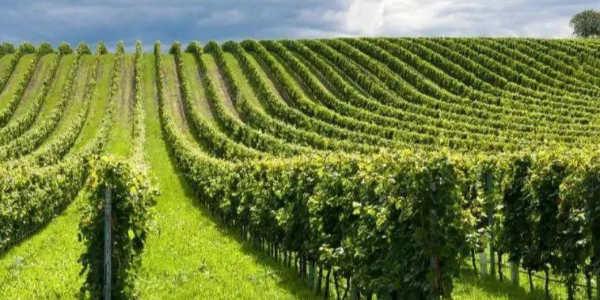 微信截圖_20230406084144