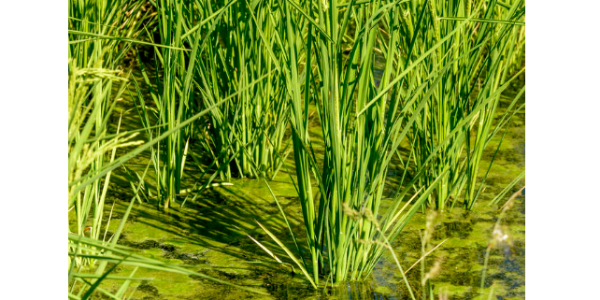 微信截圖_20230406085007