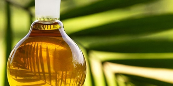 全球油籽市場：全球油籽價格下跌，地緣政治風險減退