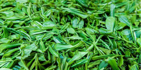 微信截圖_20221104102721