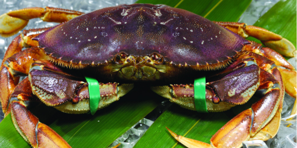 微信截圖_20230113095657