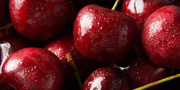 微信截圖_20230113100211