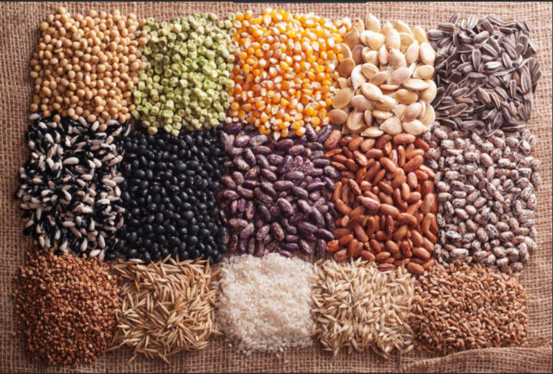 QQ截圖20221221114602