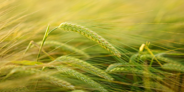 QQ截圖20221221110357