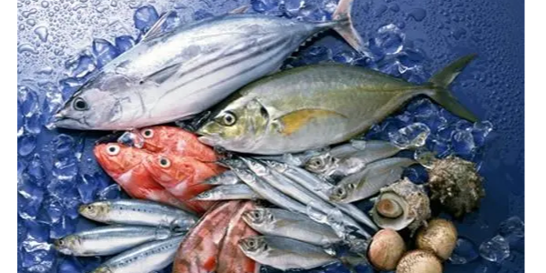 微信截圖_20230128102834