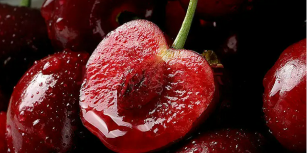 南非：Transnet與水果出口商會面以避免出口災難