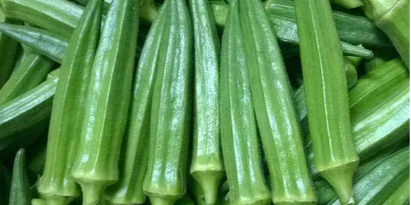 微信截圖_20230423091601