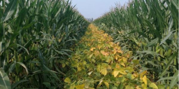 微信截圖_20230423091903