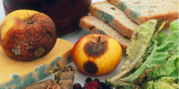 微信截圖_20230314091532