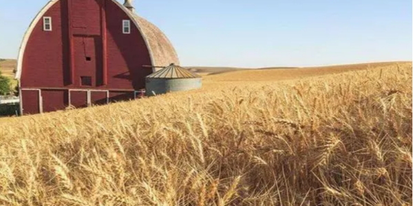 微信截圖_20230314084950