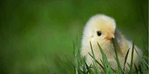 微信截圖_20221208093058