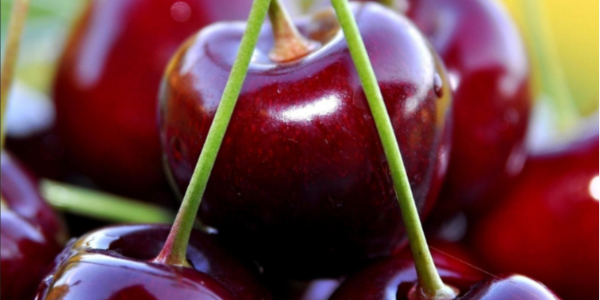 微信截圖_20221228100734