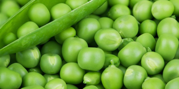 微信截圖_20221228100509