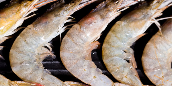 微信截圖_20221227094849