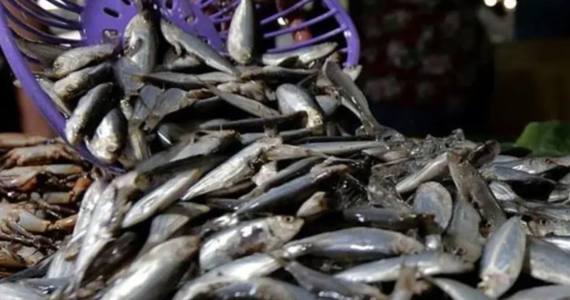 盡管價(jià)格高企，挪威三文魚對(duì)東南亞的出口依然增長(zhǎng)！