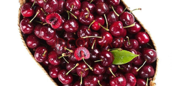 微信截圖_20230310085604