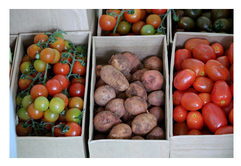 微信截圖_20230220094904