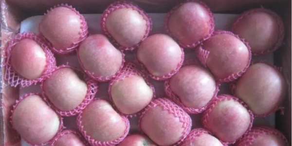 微信截圖_20230220092820