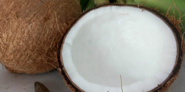 微信截圖_20230410083925