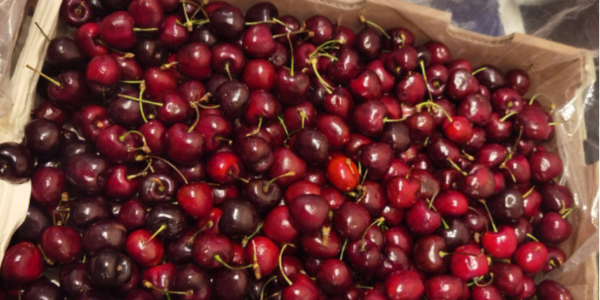 微信截圖_20230105105656