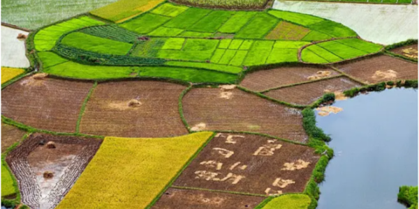 微信截圖_20230105102915