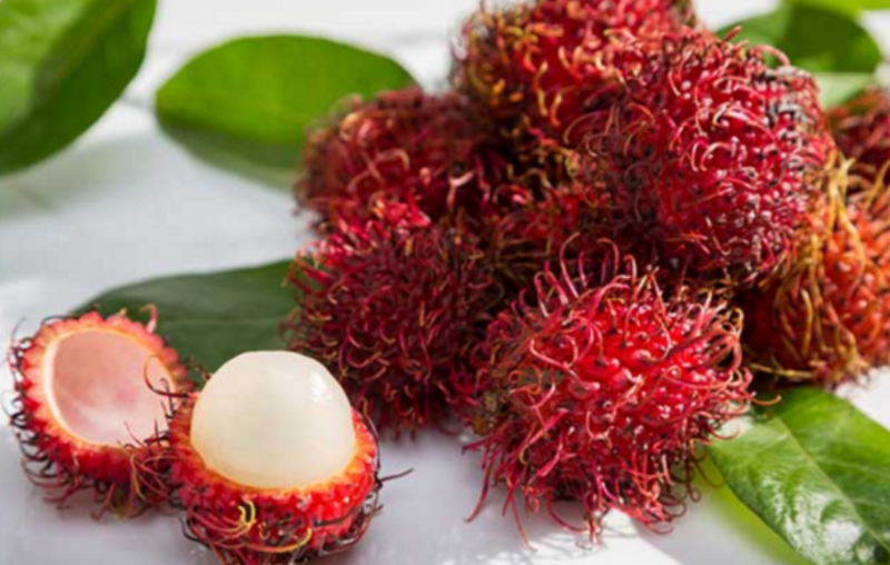 泰國紅毛丹出口有所增長