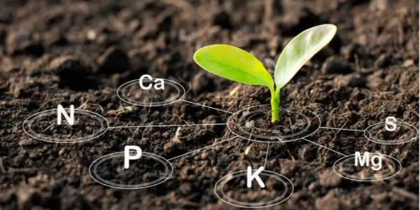 微信截圖_20230403093435