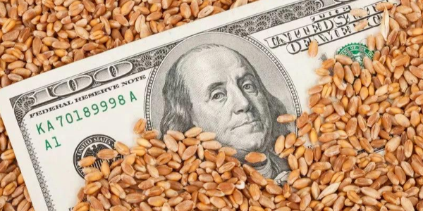 微信截圖_20230403085721