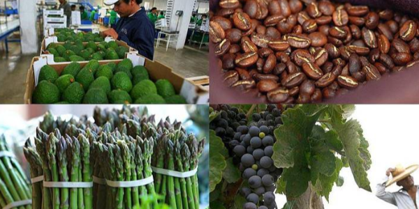 微信截圖_20230403092606