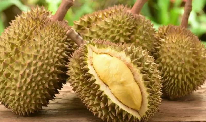 微信截圖_20220607094507