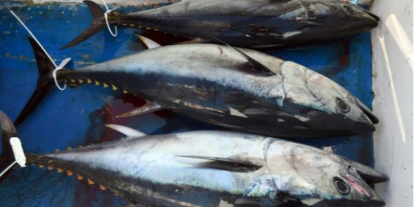 微信截圖_20230323100307