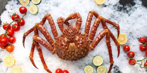 今年11月俄羅斯遠洋漁業(yè)漁獲量均有增加