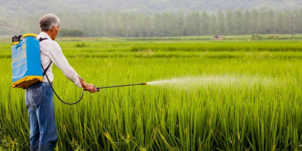 聯(lián)合國(guó)呼吁各方盡快消除俄羅斯糧食和化肥出口障礙