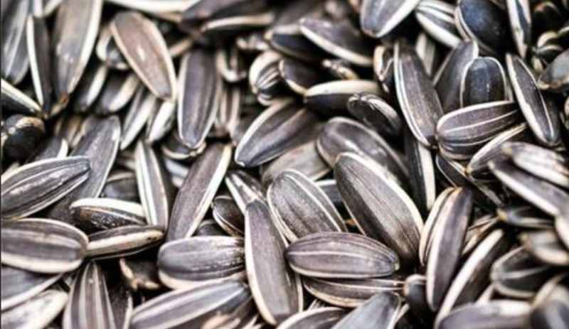 玻利維亞油籽和小麥生產(chǎn)商協(xié)會（Anapo）近日在一份報告中稱，2021年玻利維亞葵花籽出口額超1.36億美元，在全國非傳統(tǒng)出口產(chǎn)品中位列第四，僅次于大豆、珠寶和栗子。 玻利維亞《七頁報》報道，報告還稱，這些出口到全球的玻利維亞葵花籽中，主要流向厄瓜多爾（57%）和哥倫比亞（22%）。 全球范圍內(nèi)，玻利維亞葵花籽產(chǎn)量排名第13位。數(shù)據(jù)顯示，2016年到2021年間，玻利維亞葵花籽產(chǎn)量增加了約14.2萬噸。 此外，圣胡利安（San Julián）是玻利維亞全國最大的葵花籽生產(chǎn)地。