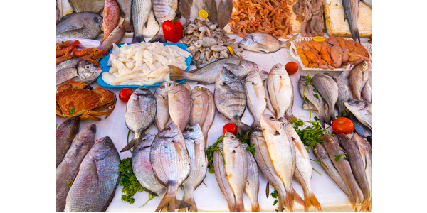 微信截圖_20230224092529