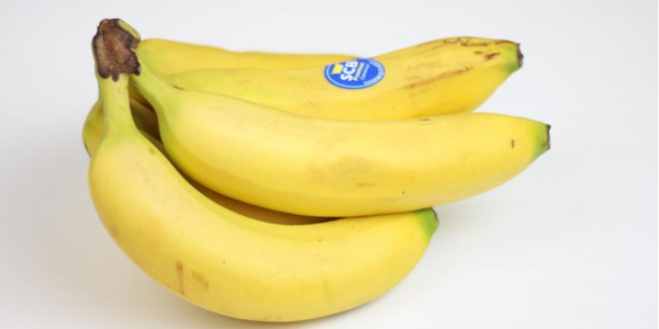 微信截圖_20230201100319