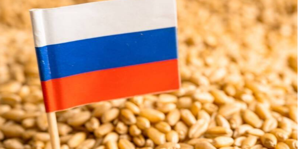 微信截圖_20230313085311