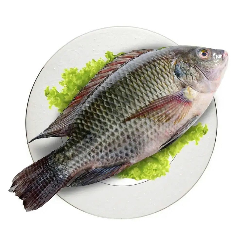羅非魚(yú)產(chǎn)品出口報(bào)關(guān)