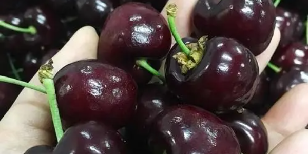 微信截圖_20230109101334