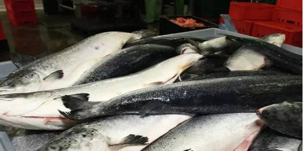 微信截圖_20230330091822