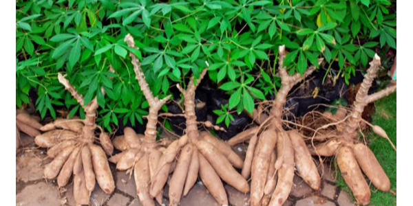 微信截圖_20230330091450