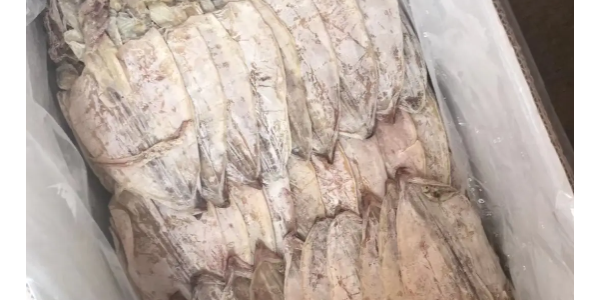 微信截圖_20230418085218