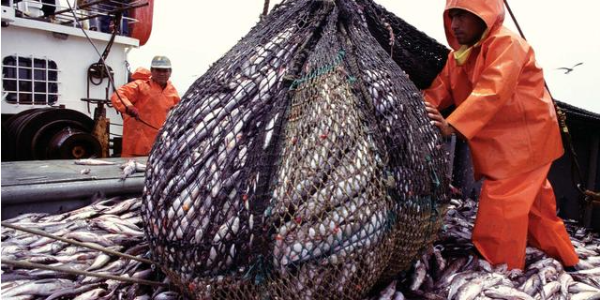 微信截圖_20230418085700