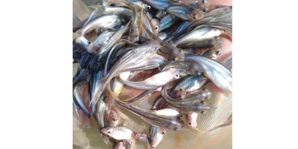 微信截圖_20230327084106