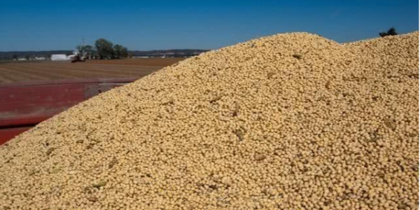 微信截圖_20230404100736